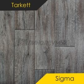 Дизайн - Tarkett (Таркетт) SIGMA - MARI 1