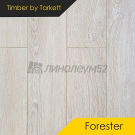 Дизайн - Timber (Тимбер) Ламинат 10/33 4V - FORESTER / ДУБ ДЖЕЗИКО