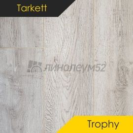Дизайн - Tarkett (Таркетт) Ламинат 8/33 4V - TROPHY / РОСАРИО