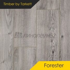 Дизайн - Timber (Тимбер) Ламинат 10/33 4V - FORESTER / ДУБ ОТРАНТО