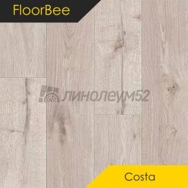 Дизайн - Floor Bee (Пчела на полу) Ламинат 8/33 4V - КОСТА / КОСТА ФОРМЕНТЕРА 2001