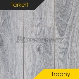 Дизайн - Tarkett (Таркетт) Ламинат 8/33 4V - TROPHY / САХАРА 504498012