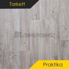Дизайн - Tarkett (NB) PRAKTIKA - OTTO 1 (3m)