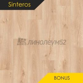 Дизайн - Sinteros BONUS - PLATON 1