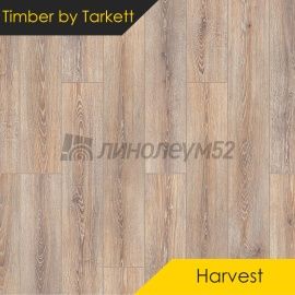 Дизайн - Timber Ламинат 8/33 4V - HARVEST / ДУБ БАФФАЛО 504472001