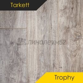 Дизайн - Tarkett Ламинат 8/33 4V - TROPHY / ЛИМА 119288