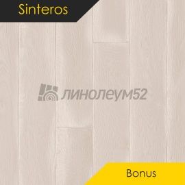 Дизайн - Sinteros BONUS - REPIN 1