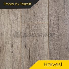Дизайн - Timber (Тимбер) Ламинат 8/33 4V - HARVEST / ДУБ МЭВЕРИК 504472006