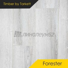 Дизайн - Timber (Тимбер) Ламинат 10/33 4V - FORESTER / ДУБ ПОРТО ЧЕРВО 5199