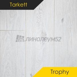 Дизайн - Tarkett Ламинат 8/33 4V - TROPHY / АРРАС 1268485