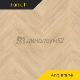 Дизайн - Tarkett (Таркетт) Ламинат 12/33 4V - ANGLETERRE / НОТТИНГ ХИЛЛ