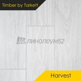 Дизайн - Timber Ламинат 8/33 4V - HARVEST / ДУБ ПАНДО - БЕЛЫЙ 4011