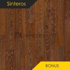 Дизайн - Sinteros BONUS - BOLTON 2