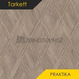 Дизайн - Tarkett (NB) PRAKTIKA - SAGA 3