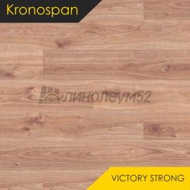 Дизайн - Kronospan Ламинат 8/33 - VICTORY STRONG / ДУБ КАНЬОН БЕЛЫЙ 8642