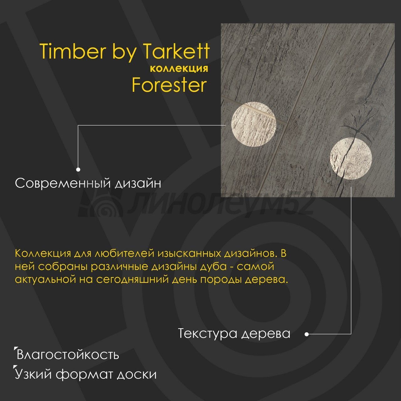 Ламинат 10/33 4V - FORESTER / ДУБ ОРИСТАНО 504474004 от производителя  Timber можно купить в интернет - магазине 