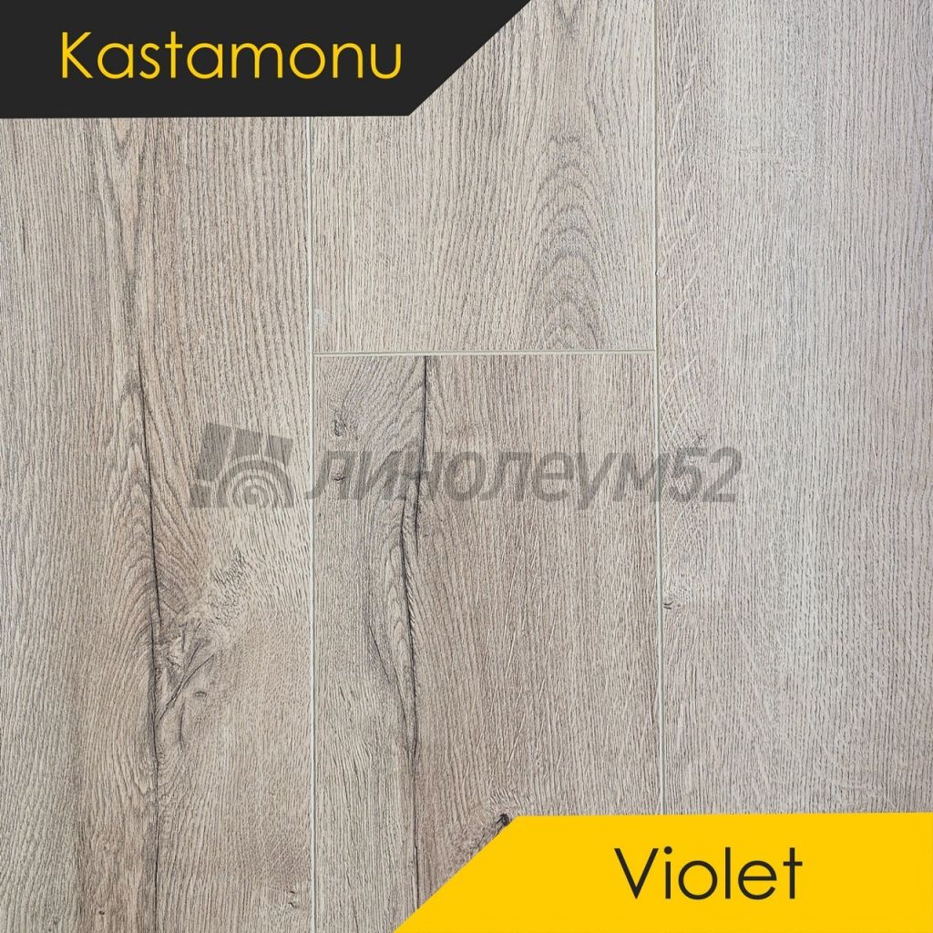 Ламинат 10/33 4V - VIOLET / ДУБ ФАЛЬКОН 1124 от производителя Kastamonu  можно купить в интернет - магазине 