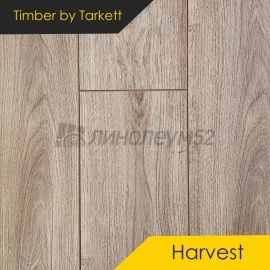 Дизайн - Timber (Тимбер) Ламинат 8/33 4V - HARVEST / ДУБ МАЛЕ