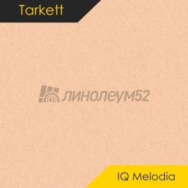 Дизайн - Tarkett MELODIA - IQ 2645