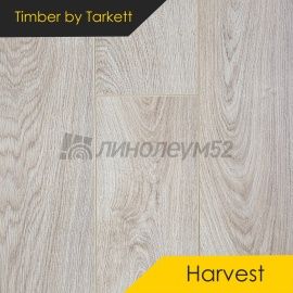 Дизайн - Timber (Тимбер) Ламинат 8/33 4V - HARVEST / ДУБ ТИЛАДЖ