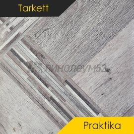 Дизайн - Tarkett (NB) PRAKTIKA - SAGA 3