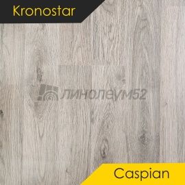 Дизайн - Kronostar Ламинат 8/32 - CASPIAN / ДУБ ЛЕОНИС D50387
