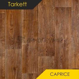 Дизайн - Tarkett CAPRICE - KVEBEK 2