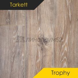 Дизайн - Tarkett (Таркетт) Ламинат 8/33 4V - TROPHY / ДАККАР